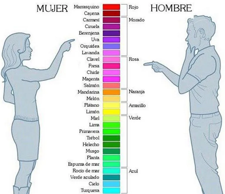 ¿Perciben los colores de manera distinta hombres y mujeres? 